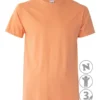 Camiseta Premium Ambor