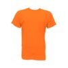 Camiseta Económica