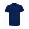 Polo School